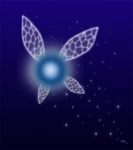 Logo of Navi android Application 